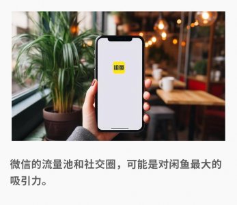 ​闲鱼进微信，想象力在哪？