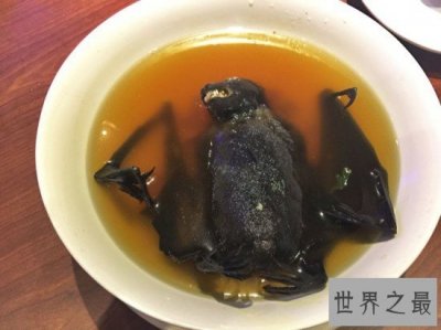 ​世界上最恶心的食物，生吃虫卵(重口味慎入)