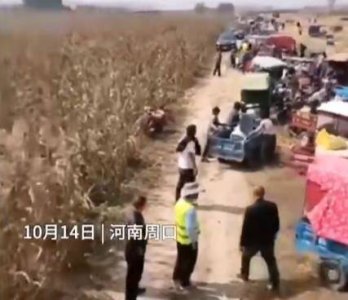 ​新闻郸城县农业农村局发布情况说明，保障机械收割秩序