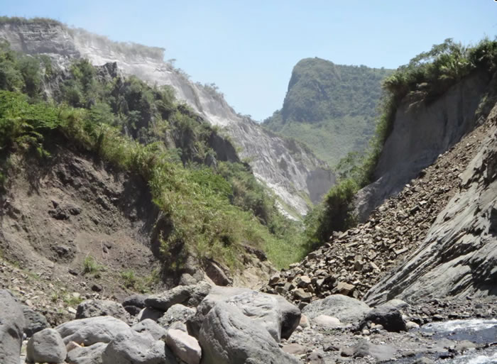 科学家重新发现一种被认为已经灭绝的稀有火山鼠