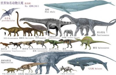 ​最全的恐龙的资料图片大全和名字