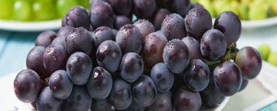 ​没有籽的葡萄可以吃吗 没籽的葡萄怎么繁殖