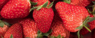 ​草莓的形状和特征怎么描述 草莓的形状和特征怎么描述150字