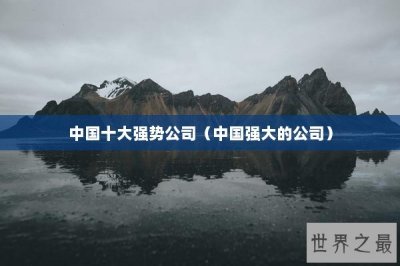 ​中国十大强势公司（中国强大的公司）