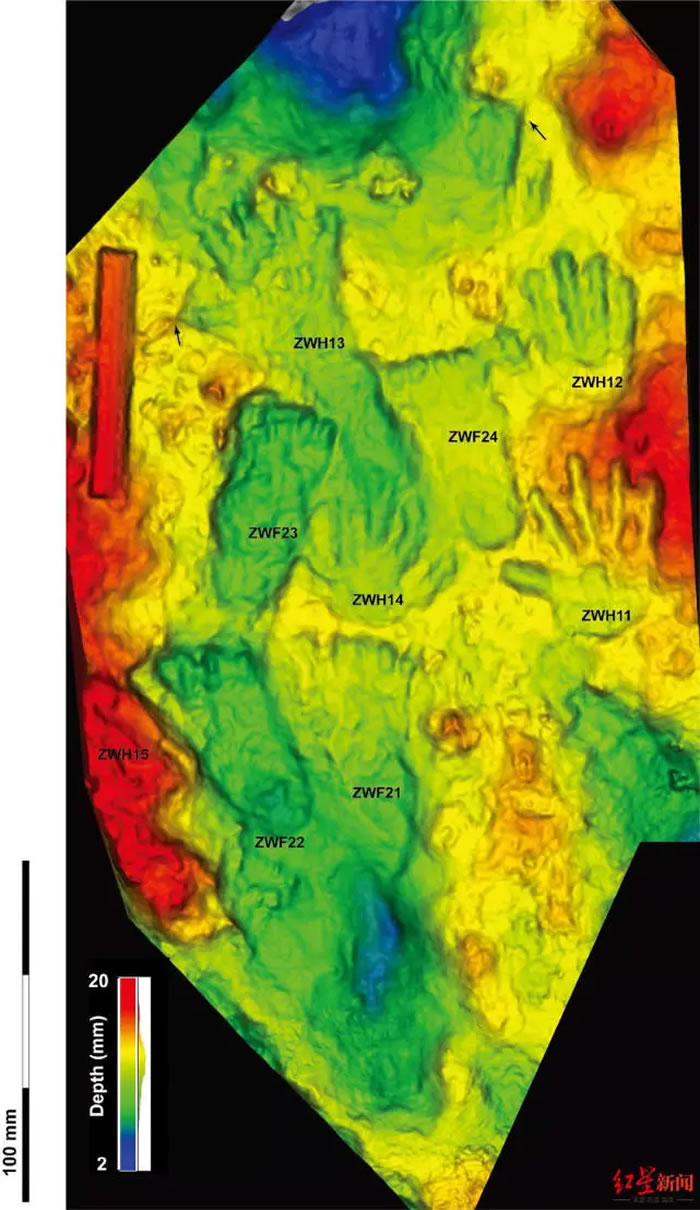 青藏高原古人类手脚印研究成果入选《Archaeology》杂志2021年度世界十大考古发现