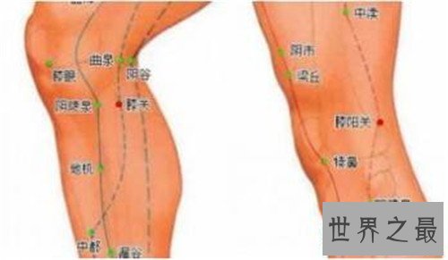 足三里的准确位置图 一个具有抗衰老作用的穴位