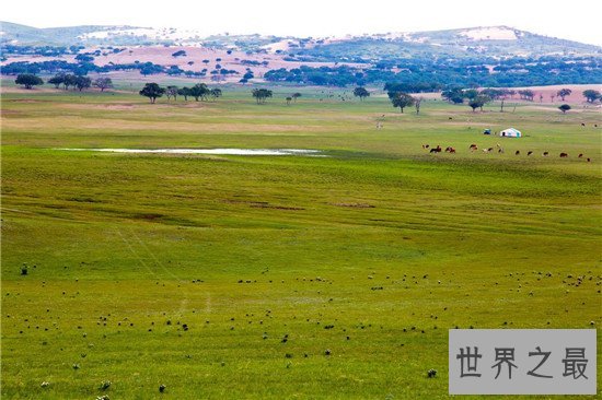 中国四大草原之一锡林郭勒草原 七大景点让你流连忘返