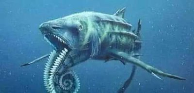 ​深海100000米以下生物,目前尚未发现的恐怖生物