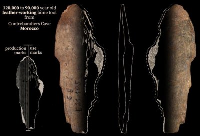 ​12万年前生活在现今摩洛哥的早期人类使用骨质工具制作衣服