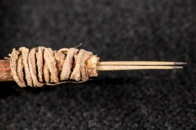 ​考古学家辨识出2000年前的刺青针 将美国西南部刺青的证据年代往回推1000年