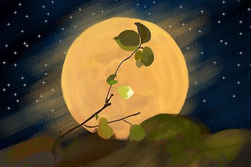 千里共婵娟和露似真珠月似弓哪句诗词描写的是中秋的月亮