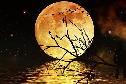 千里共婵娟和露似真珠月似弓哪句诗词描写的是中秋的月亮