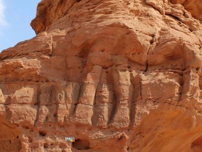 ​沙特阿拉伯北部发现的真人大小骆驼雕塑可以追溯到7000-8000年前