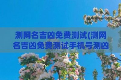 ​测网名吉凶免费测试(测网名吉凶免费测试手机号测凶吉)