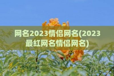 ​网名2024情侣网名(2024最红网名情侣网名)