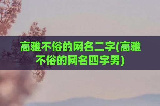 高雅不俗的网名二字(高雅不俗的网名四字男)