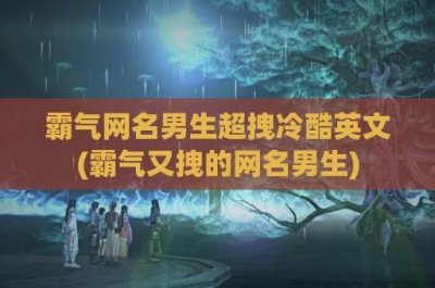 ​霸气网名男生超拽冷酷英文(霸气又拽的网名男生)