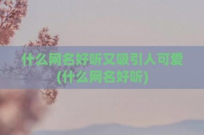 ​什么网名好听又吸引人可爱(什么网名好听)