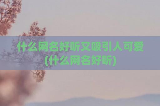 什么网名好听又吸引人可爱(什么网名好听)