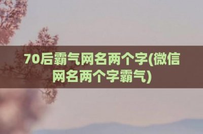 ​70后霸气网名两个字(微信网名两个字霸气)