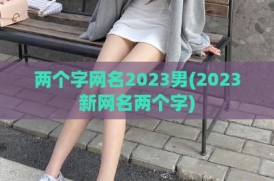 ​两个字网名2024男(2024新网名两个字)