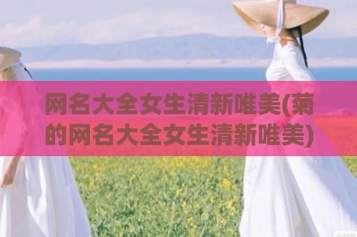 网名大全女生清新唯美(菊的网名大全女生清新唯美)