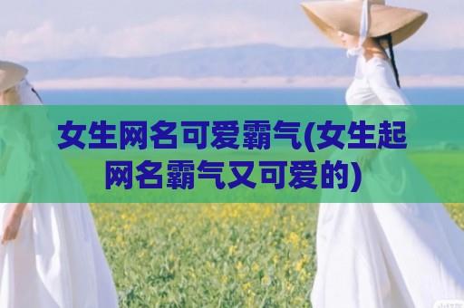 女生网名可爱霸气(女生起网名霸气又可爱的)