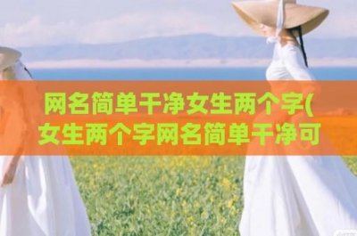 ​网名简单干净女生两个字(女生两个字网名简单干净可爱)