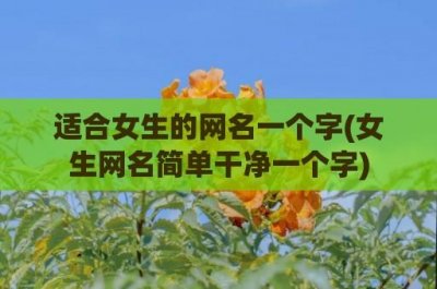 ​适合女生的网名一个字(女生网名简单干净一个字)