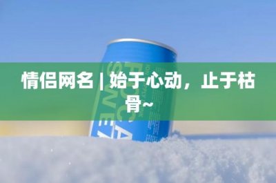 ​情侣网名 | 始于心动，止于枯骨~