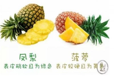 ​怎么区分菠萝和凤梨 菠萝和凤梨有什么不同