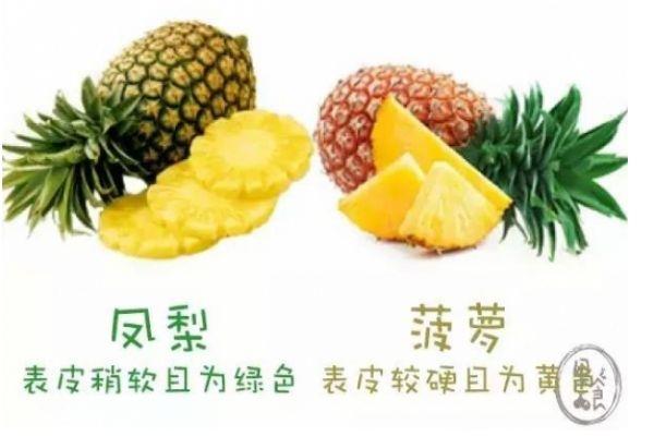 怎么区分菠萝和凤梨 菠萝和凤梨有什么不同