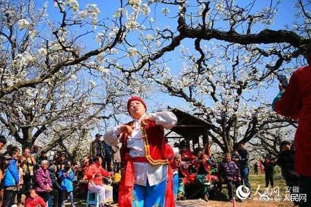 震撼！砀山县近百万亩梨花怒放