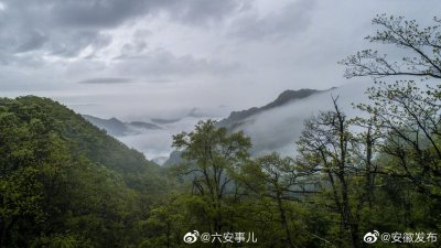 ​华东地区最大的一片原始森林