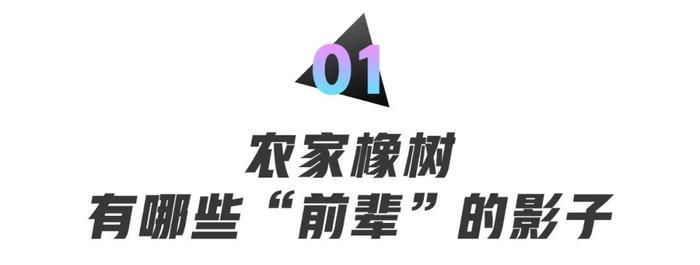 1千的农家橡树和30万的皇家橡树区别在哪?