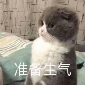 ​一组萌萌的猫咪表情包  点赞吸猫