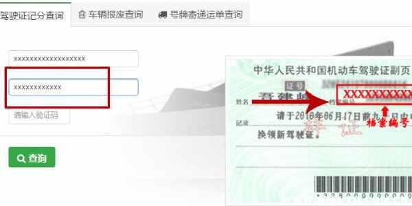 怎么查驾驶证状态？个人驾驶证状态如何查询-