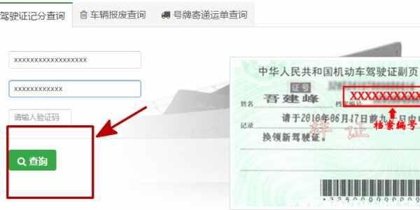 怎么查驾驶证状态？个人驾驶证状态如何查询-