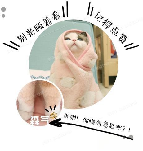 爱华仕的行李箱质量怎么样?-