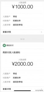 ​号称0投入靠养龙日入1000？陀螺世界是骗局吗？