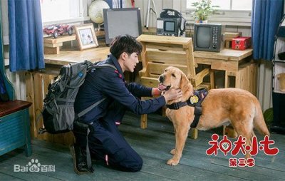 ​《神犬小七3》小七携众萌宠尽显搜救犬风范治愈暖心萌化人心