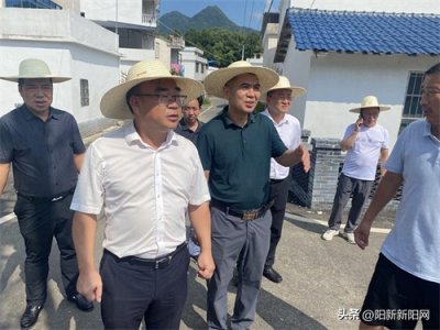 ​阳新新闻：杨波调研美丽乡村示范片建设