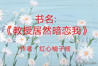 ​现言小说，甜文，推荐《教授居然暗恋我》《医生，给我开点药》