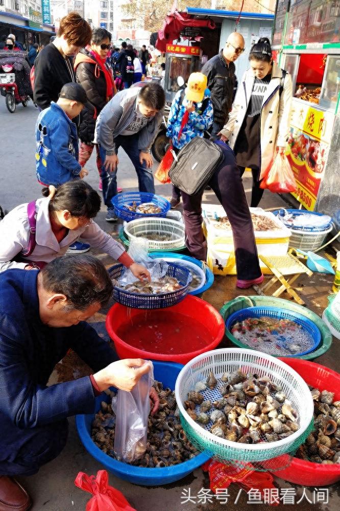 春日暖阳下 针鱼现身海鲜市场 22块钱一斤 鲜活老头鱼45价格最高