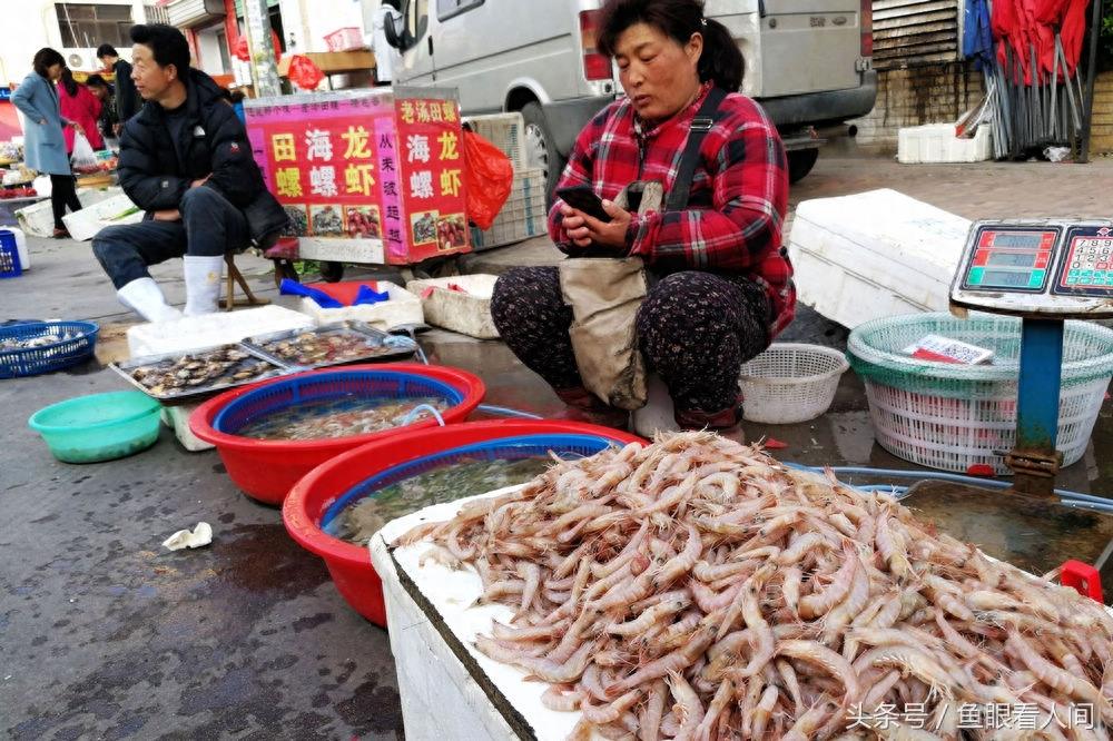 春日暖阳下 针鱼现身海鲜市场 22块钱一斤 鲜活老头鱼45价格最高