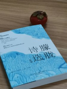 ​朦胧诗选，朦胧的不是斗志